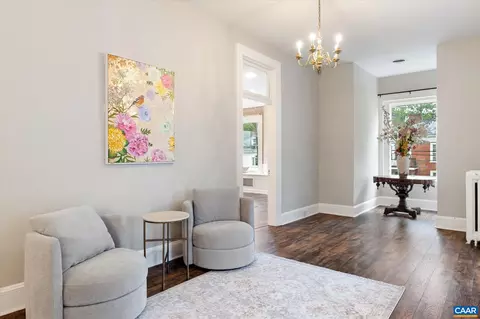 Entry Way - 409 Park St, Charlottesville, VA 22902 photo 8 of 10