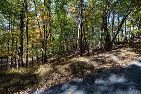 0 Dawn Dr, Basye, VA 22810 photo 5