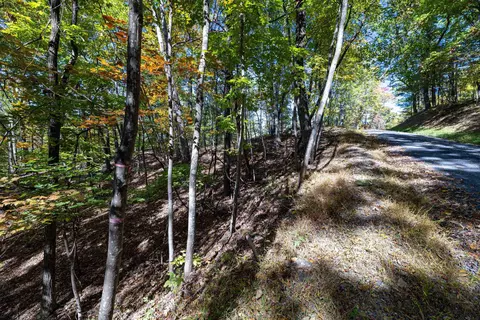 0 Dawn Dr, Basye, VA 22810 photo 4