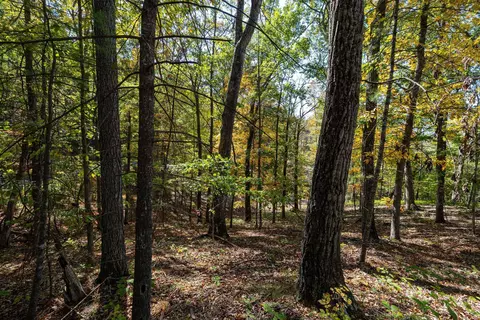 0 Dawn Dr, Basye, VA 22810 photo 13