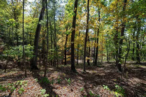 0 Dawn Dr, Basye, VA 22810 photo 14