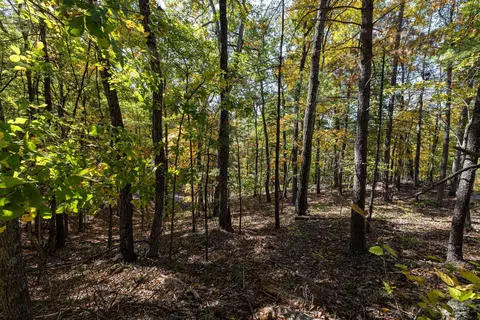 0 Dawn Dr, Basye, VA 22810 photo 12