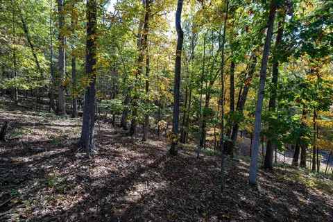 0 Dawn Dr, Basye, VA 22810 photo 15