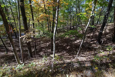0 Dawn Dr, Basye, VA 22810 photo 17
