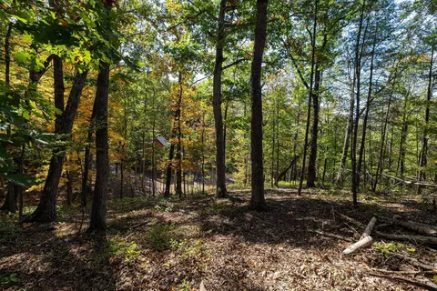 0 Dawn Dr, Basye, VA 22810 photo 16