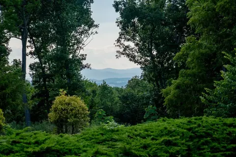 Other - 190 Ridgemore Dr, Raphine, VA 24472 photo 10 of 17