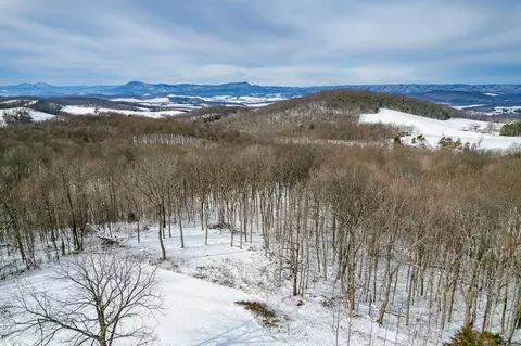 Other - 190 Ridgemore Dr, Raphine, VA 24472 photo 17 of 17