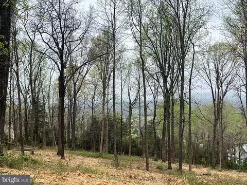 White Eagle, Charlottesville, VA 22903 photo 6