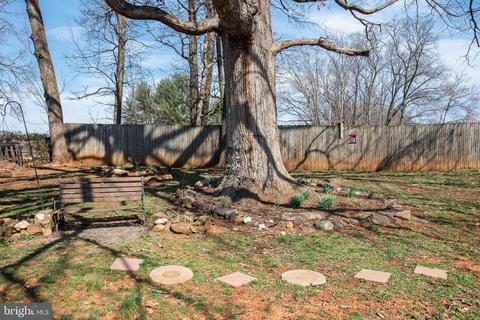 12480 Robin Rd, Culpeper, VA 22701 photo 28