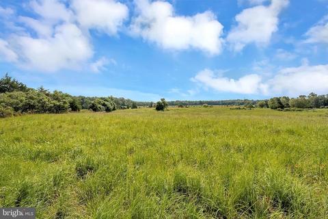 7058 Pine Stake Rd, Culpeper, VA 22701 photo 23
