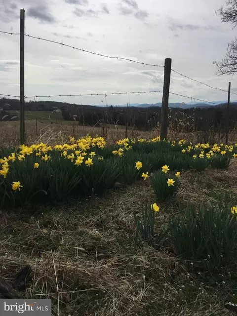 O'bannons Mill Rd, Boston, VA 22713 photo 30