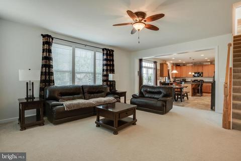 904 Augustine Dr, Culpeper, VA 22701 photo 17