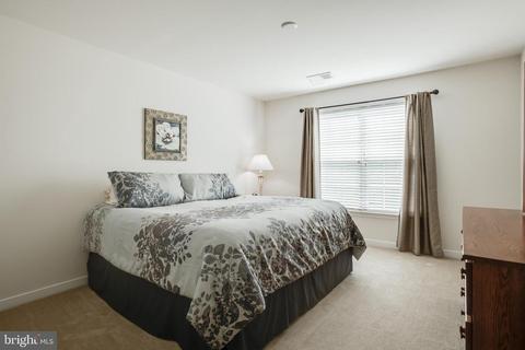 904 Augustine Dr, Culpeper, VA 22701 photo 30