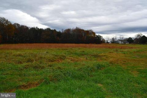 23288 Slaughters Ml, Mitchells, VA 22729 photo 11