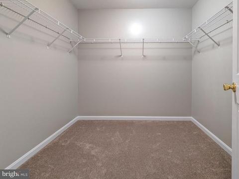 702 Holly Leaf Rd, Culpeper, VA 22701 photo 20