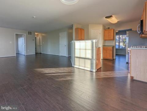 702 Holly Leaf Rd, Culpeper, VA 22701 photo 11