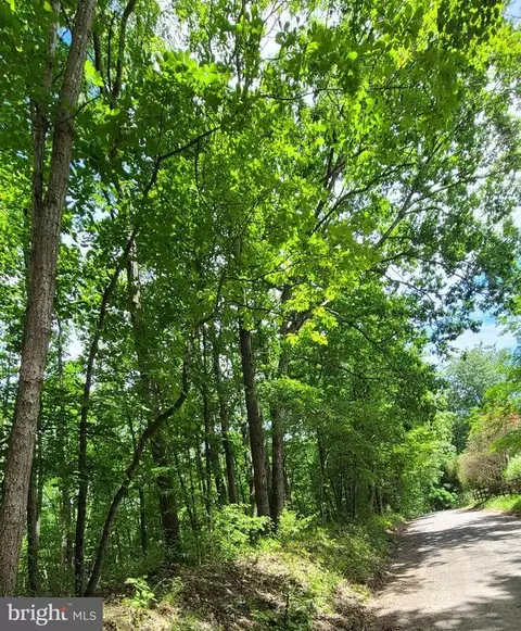 Settle School Rd, Rixeyville, VA 22737