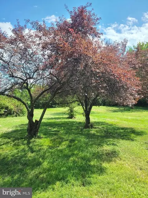 24155 Rapidan, Mitchells, VA 22729 photo 35