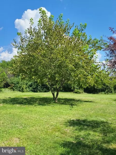 24155 Rapidan, Mitchells, VA 22729 photo 34