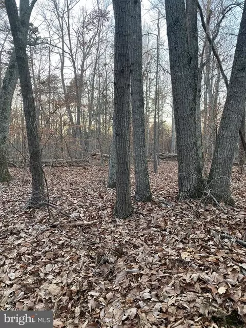 3 Crooked Run Lane, Culpeper, VA 22701
