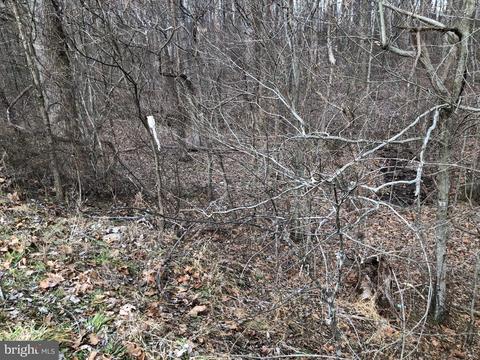 Alum Springs, Rixeyville, VA 22737