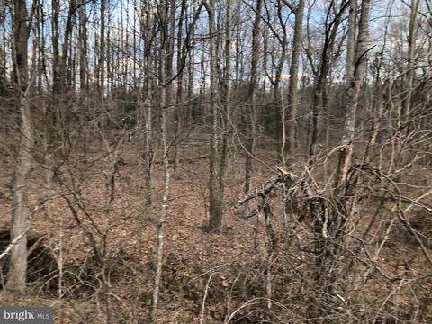 Alum Springs, Rixeyville, VA 22737