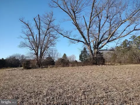 Inlet Road, Culpeper, VA 22701