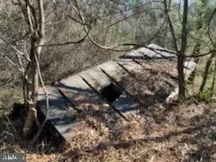 Jacobs, Lignum, VA 22726 photo 8