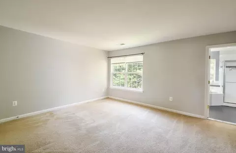 928 Persimmon Pl, Culpeper, VA 22701 photo 17
