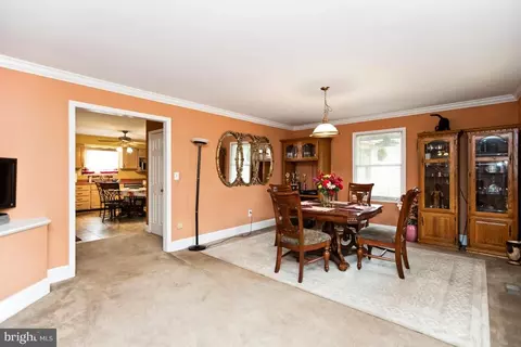 13256 Chestnut Fork Rd, Culpeper, VA 22701 photo 9