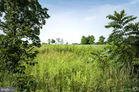 Ferguson Lane, Jeffersonton, VA 22724