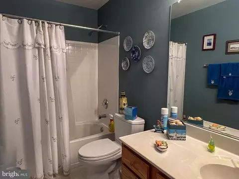 724 Holly Leaf Rd, Culpeper, VA 22701 photo 47
