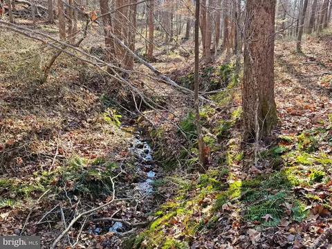 Cedar, Boston, VA 22713 photo 2