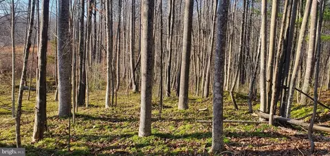 0 Roberts Ln, Rixeyville, VA 22737