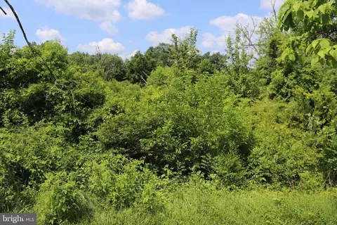 Brandy Rd, Culpeper, VA 22701