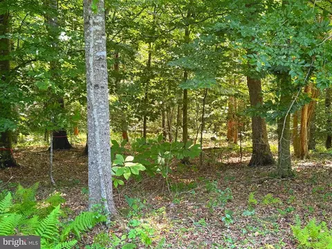 Rapidan Farms, Lignum, VA 22726