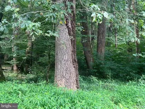 Deer Ln, Boston, VA 22713 photo 21
