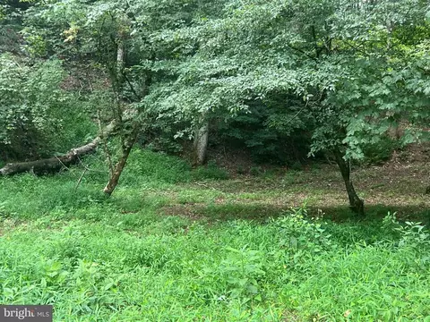 Deer Ln, Boston, VA 22713 photo 19