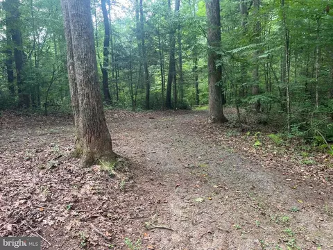 Deer Ln, Boston, VA 22713 photo 5