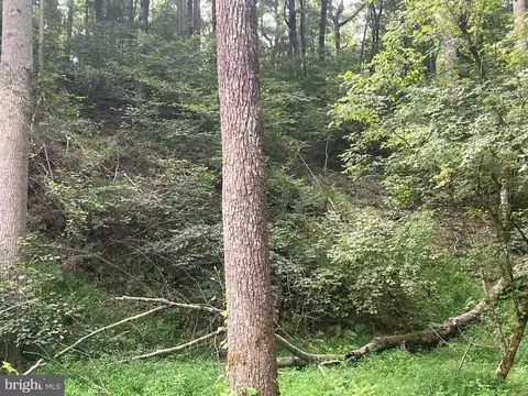 Deer Ln, Boston, VA 22713 photo 20