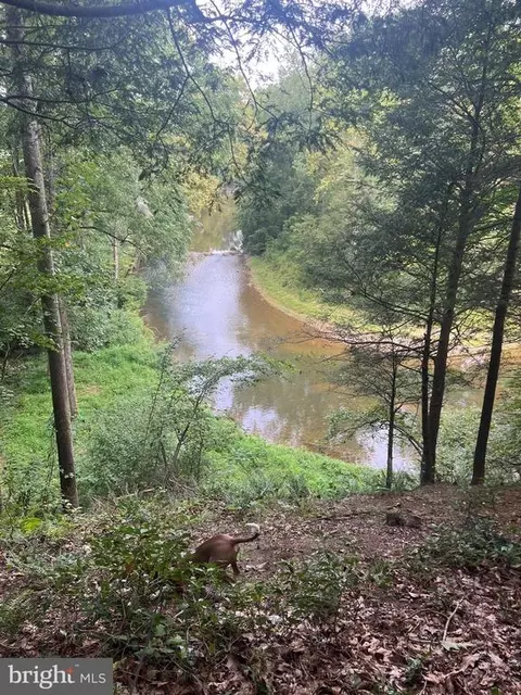 Deer Ln, Boston, VA 22713 photo 11