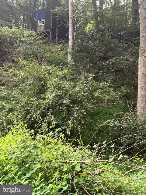Deer Ln, Boston, VA 22713 photo 18