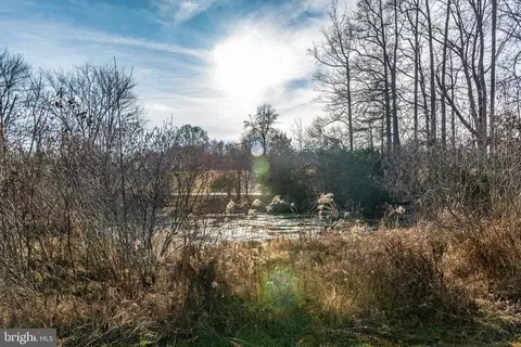 17536 Lakemont Dr, Culpeper, VA 22701 photo 13