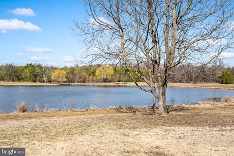 18464 Snaffle Ln, Culpeper, VA 22701 photo 9