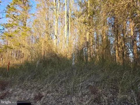 0 Eggbornsville, Rixeyville, VA 22737