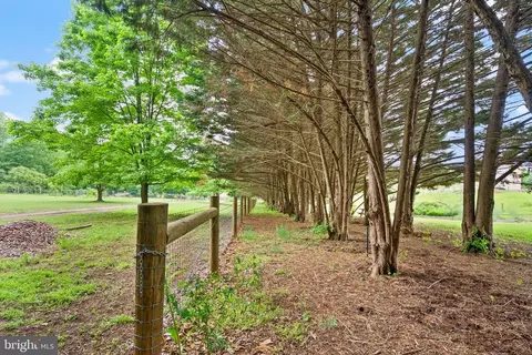 14070 Mckinley Ln, Culpeper, VA 22701 photo 50