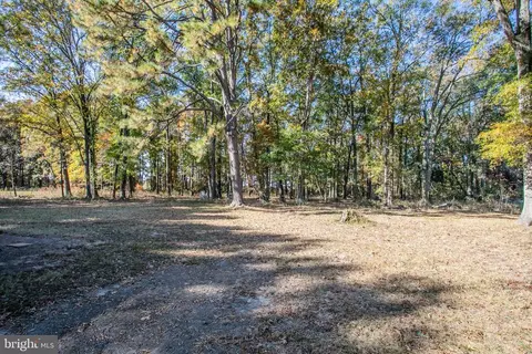20126 Batna Rd, Culpeper, VA 22701 photo 14
