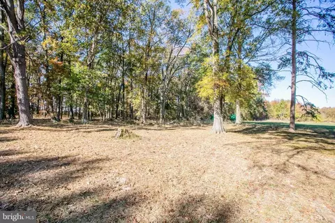 20126 Batna Rd, Culpeper, VA 22701 photo 15