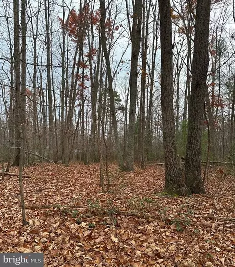 Woodland Church Road, Culpeper, VA 22701