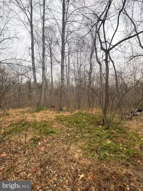 0 Settle School Rd, Rixeyville, VA 22737